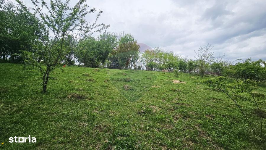 Teren de 5350 mp, în Dobreni