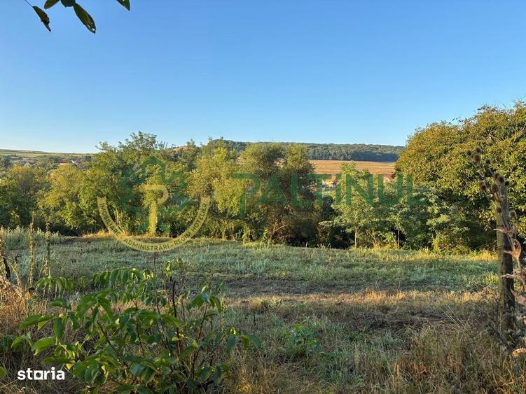 Teren intravilan de vanzare in Alamor, Sibiu, deschidere generoasa, ut - 16