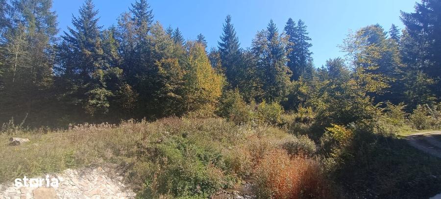 Teren de 5000 mp, în Ceahlău