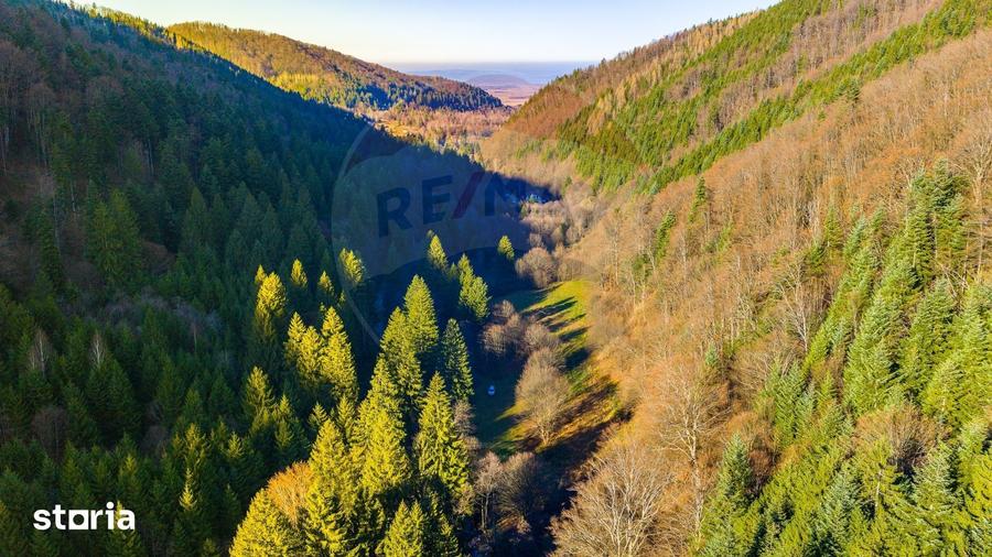 Teren de 17939 mp, în Mănești