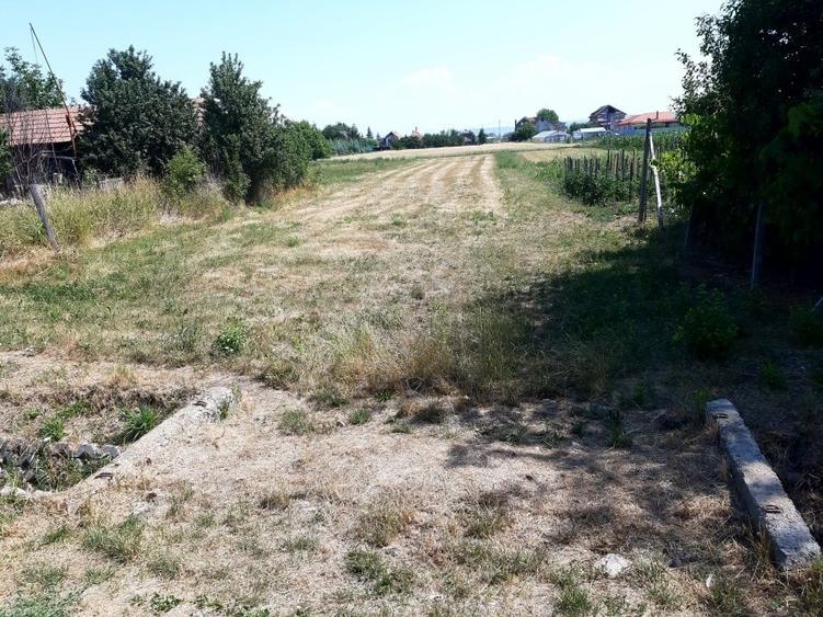 Teren Construcții intravilan de 990 mp, în Curteni