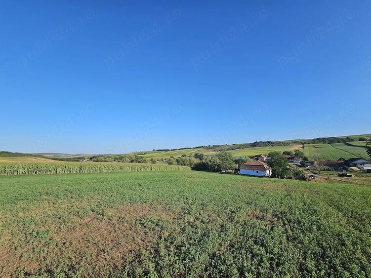Casa pe 3.3ha teren! - 5