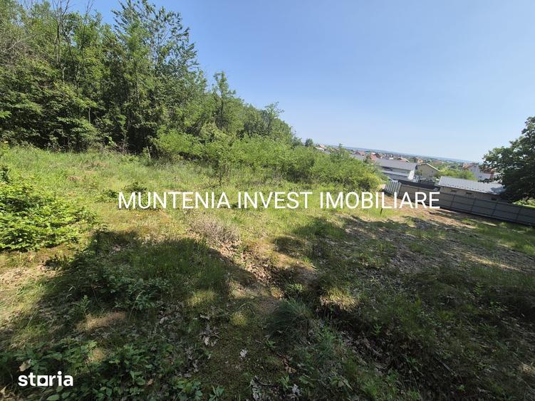 Teren de 1059 mp, în Moșoaia
