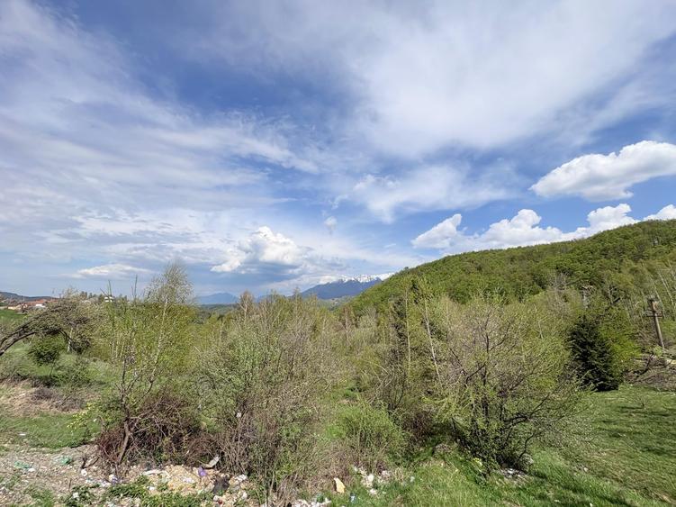 Teren Construcții intravilan de 1100 mp, în Moieciu de Jos