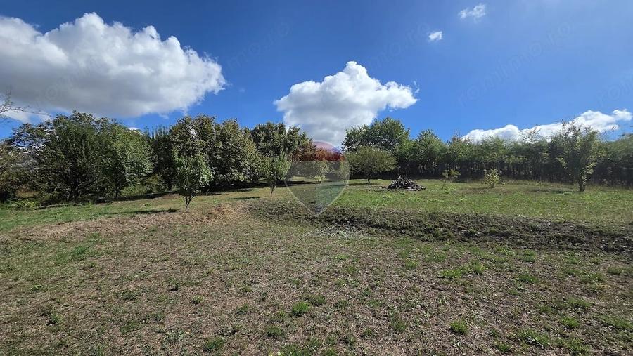 Casă cu Teren 4345 Mp în Calea Sighisoarei