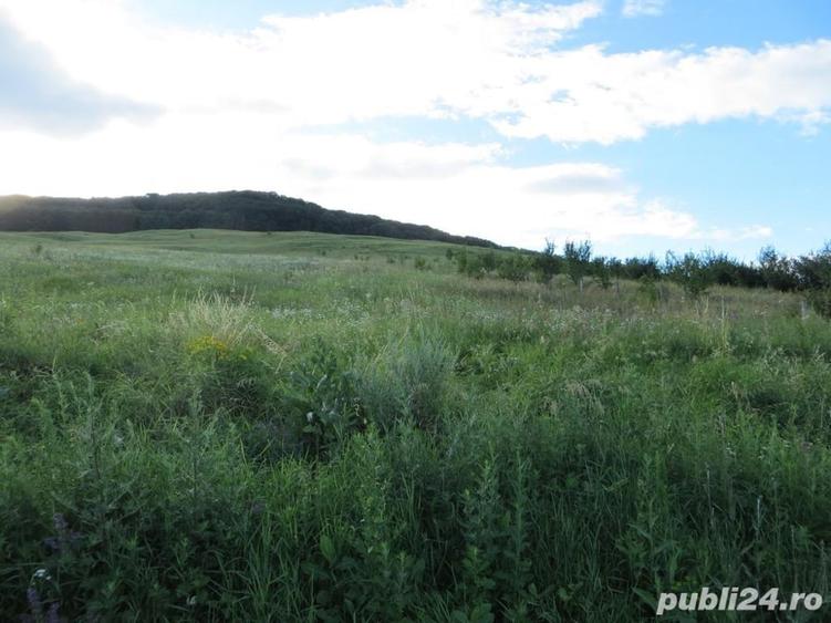 Teren de 3600 mp, în Gârcina