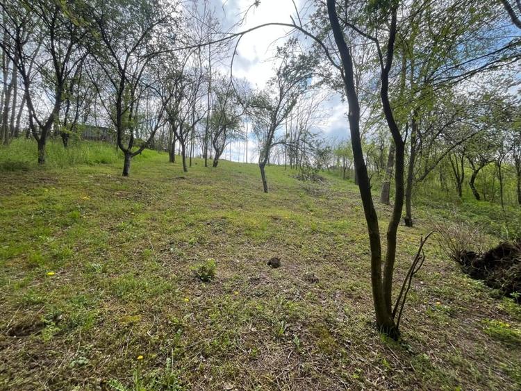 Teren Construcții intravilan de 2117 mp, în Malu Mare