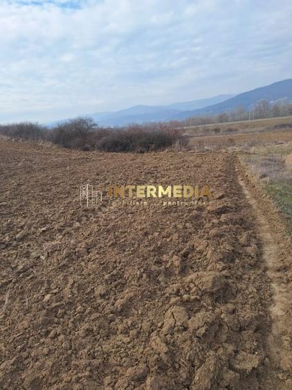 Teren agricol extravilan de 15800 mp, în Săliștea