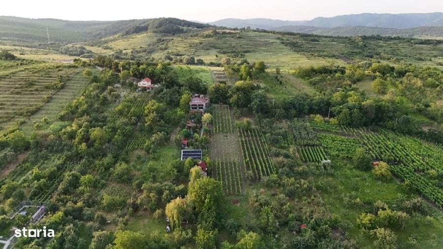 Casă cu 4 camere cu Teren 1568 Mp în Aleșd