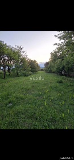 vand teren intravilan