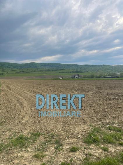 Teren intravilan de 7600 mp, în Arcalia