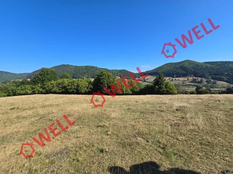 Teren extravilan de 7766 mp, în Dălghiu