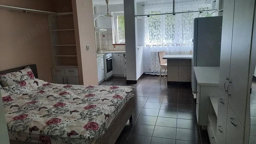 garsoniera barajul bicaz-metrou 5 minute costin georgian - 8