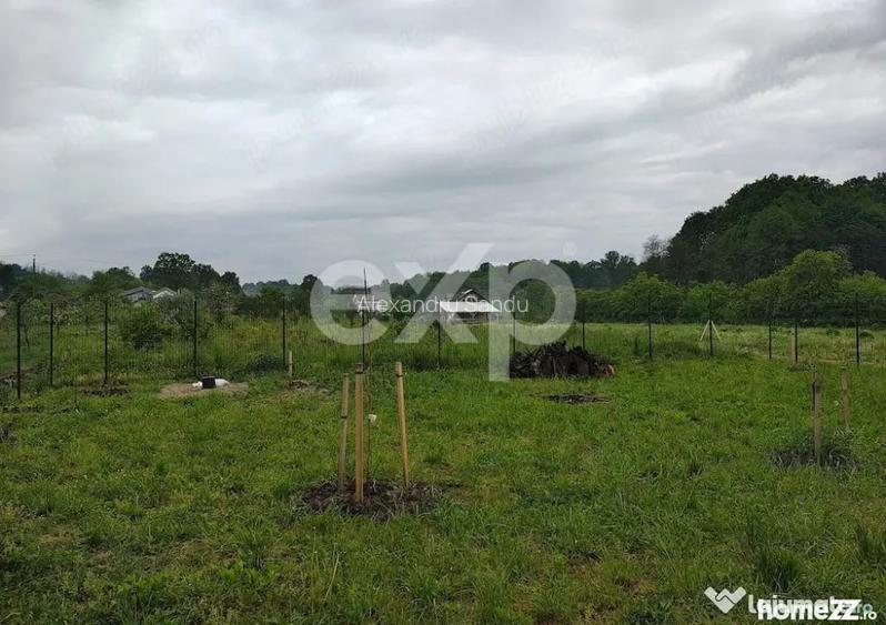Teren intravilan de vanzare Valea lui Enache, Baicule? - Baiculesti (Arges)