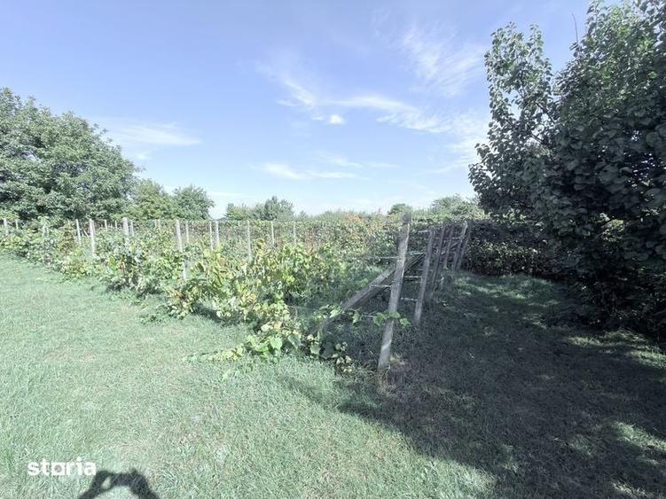 Casă cu 2 camere cu Teren 2285 Mp în Mihai Eminescu