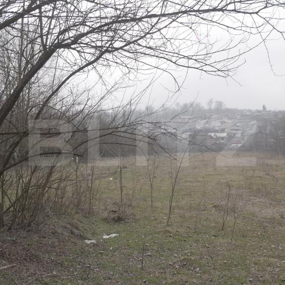 Teren Construcții intravilan de 3470 mp, în Ocnița
