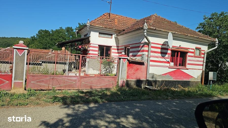 Casă cu 3 camere cu Teren 8338 Mp în Dobra