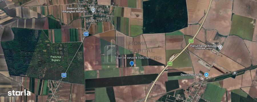 Teren de 5500 mp, în Moara Vlăsiei