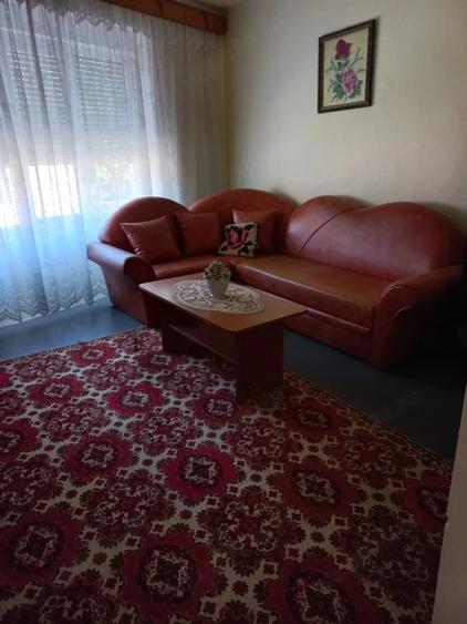 Casă cu 6 camere cu Canalizare în Lăpușnicu Mare