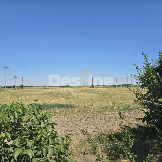 Teren agricol intravilan de 5759 mp, în Modelu