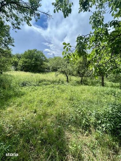Casă cu 3 camere cu Teren 1900 Mp în Mănăstireni