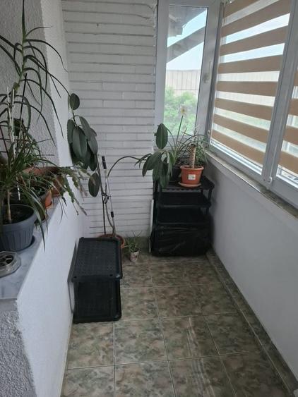 Apartament cu 2 camere decomandat în Frumoasa