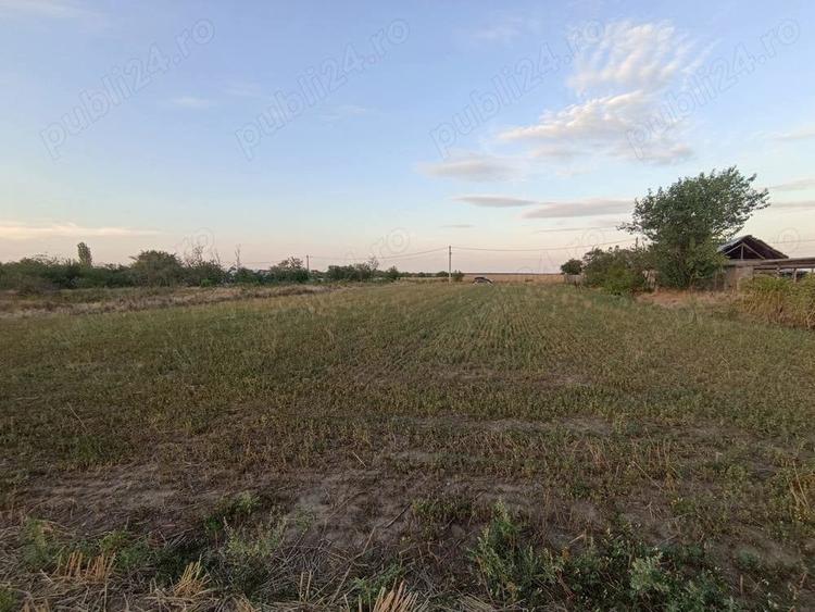 Teren de 2500 mp, în Copaciu