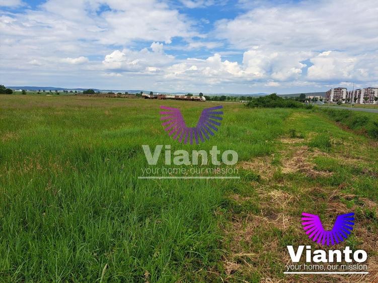 Teren Construcții intravilan de 9000 mp, în Turnișor