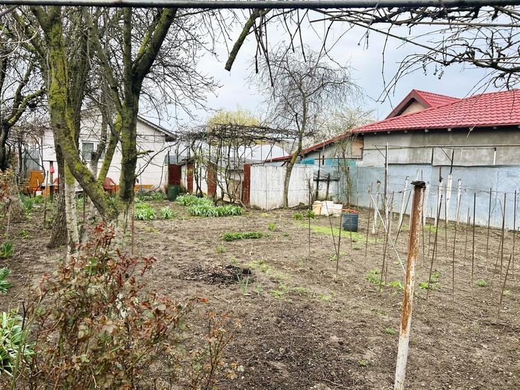 Casă individuală cu 3 camere cu Teren 564 Mp în Glina