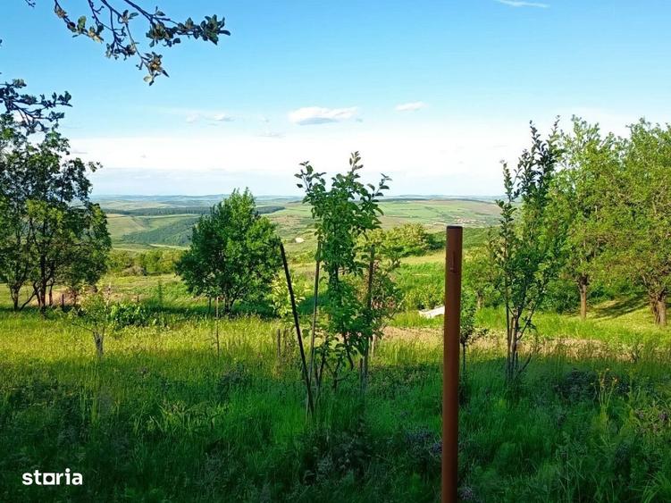 Teren intravilan 1340 mp, front 15,74 m, in sat Gheorgheni - 10