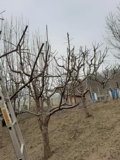 Casă cu Teren 5000 Mp în Bughea de Jos