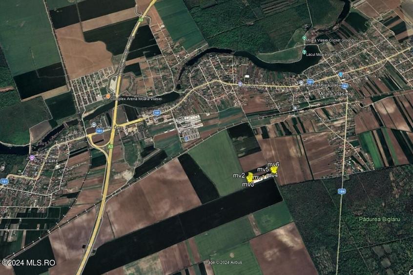 Teren Construcții extravilan de 11884 mp, în Moara Vlăsiei
