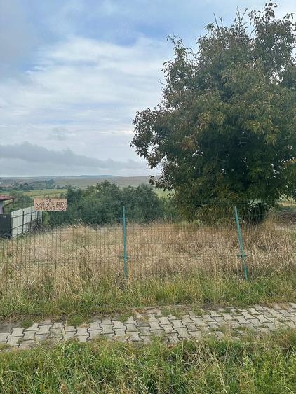 Teren de 11000 mp, în Dedrad
