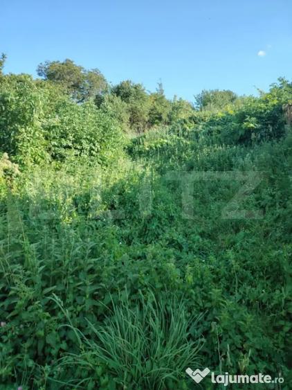 Teren intravilan de 1000mp in Ciurila cu plan de amplasament - 2