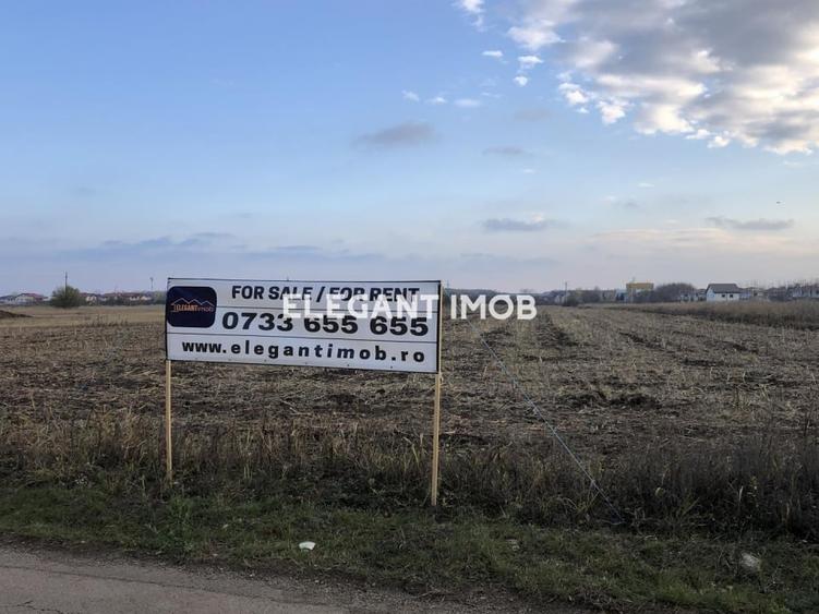 Teren agricol intravilan de 15800 mp, în Corbeanca