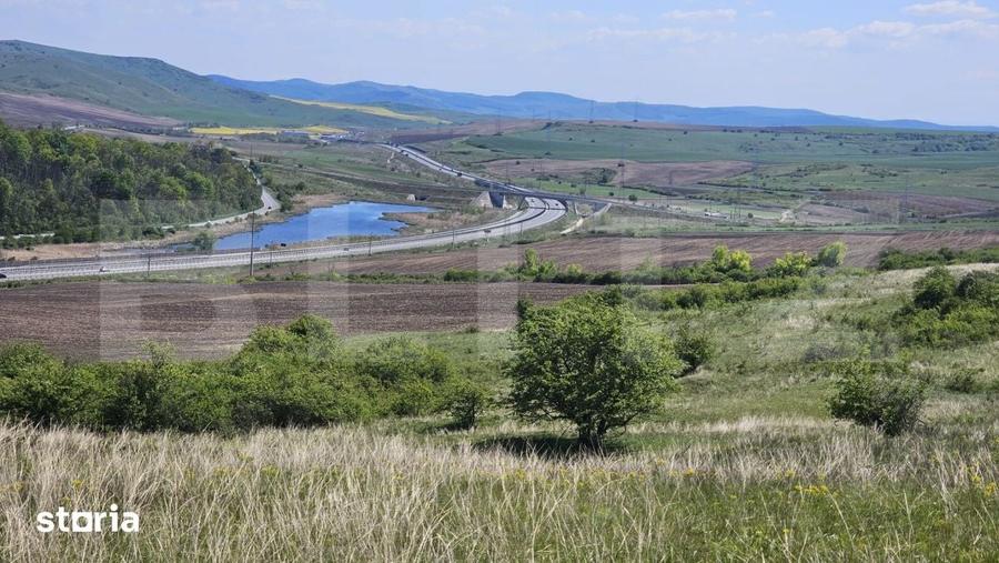 Teren de 12515 mp, în Moldovenești