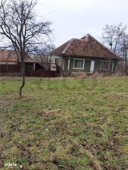Casă cu 4 camere cu Teren 6240 Mp în Valea Crișului