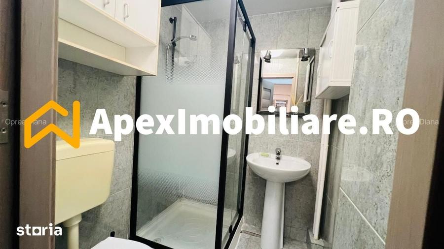 Apartament 4 camere de inchiriat, Mosilor, Bucuresti | ApexImobiliare. - 16