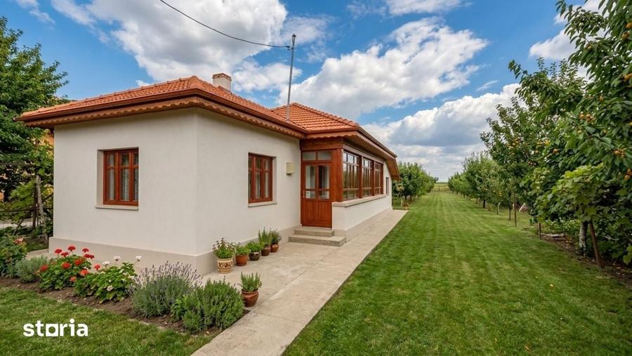 Casă cu 4 camere cu Teren 2700 Mp în Adunații-Copăceni