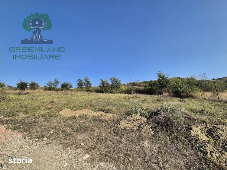Teren de construit 722mp, 250m de strada asfaltata, Vladiceni-Tomesti - 1