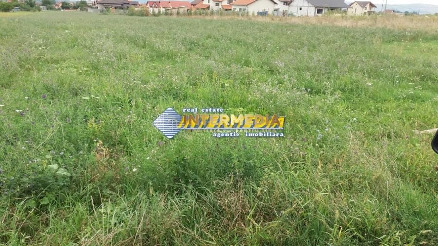 Teren Construcții intravilan de 11000 mp, în Cetate