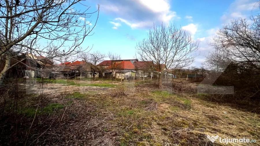 Casa de vanzare in Blaj 2500 mp teren, 90 mp utili - 6