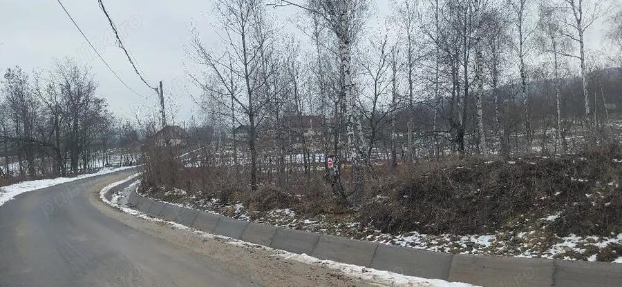 Teren de 3850 mp, în Baia de Fier