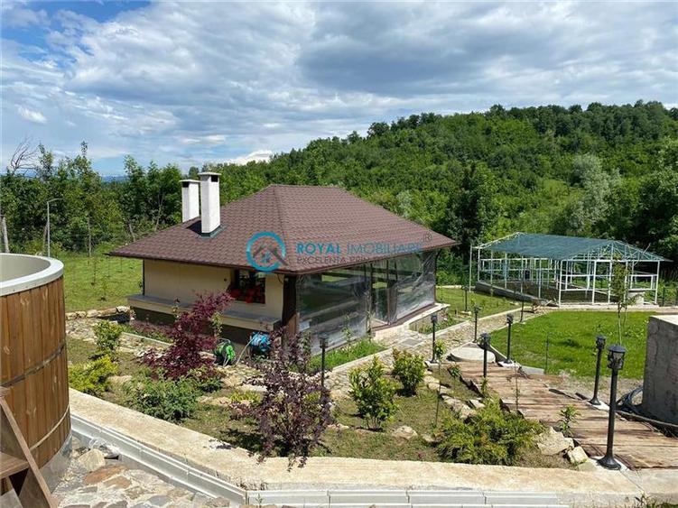 Casă individuală cu 7 camere cu Piscina în Exterior Vest