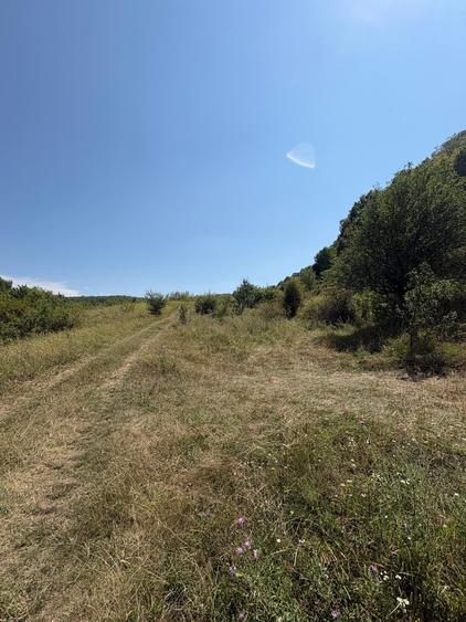Teren agricol intravilan de 3000 mp, în Nord