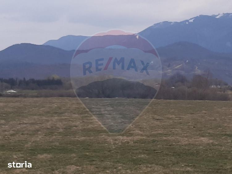 Teren de 10000 mp, în Pănicel