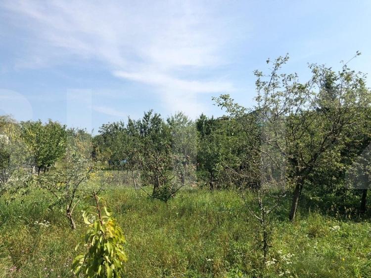 Teren Construcții intravilan de 974 mp, în Dâmbul Rotund
