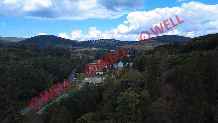 Teren Construcții intravilan de 3125 mp, în Vâlcele