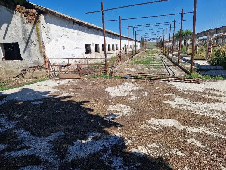 Teren de 15000 mp, în Cămărașu