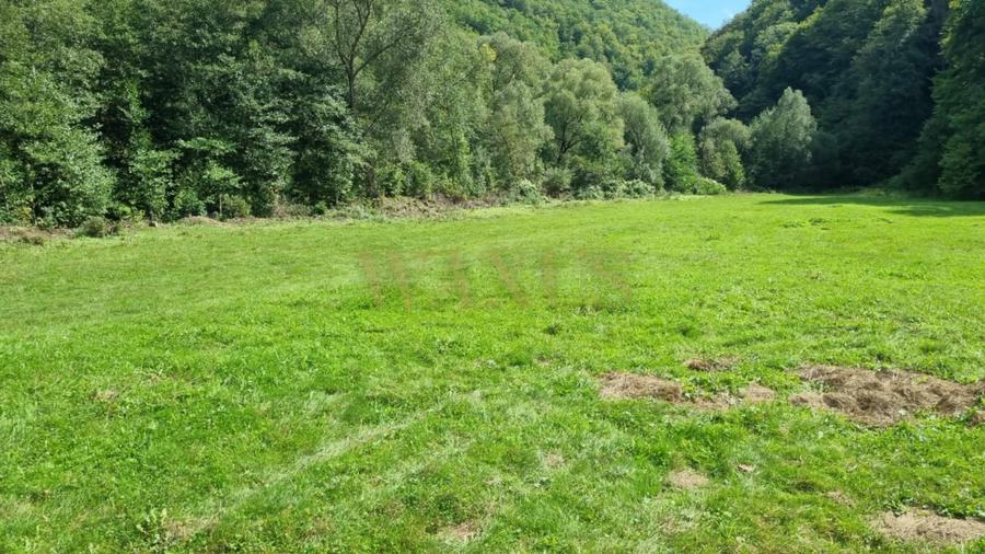 Teren Construcții intravilan de 1000 mp, în Valea Ierii